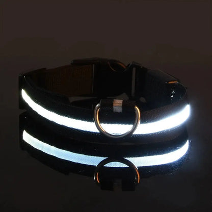 LED Rechargeable Armband For Night Sports